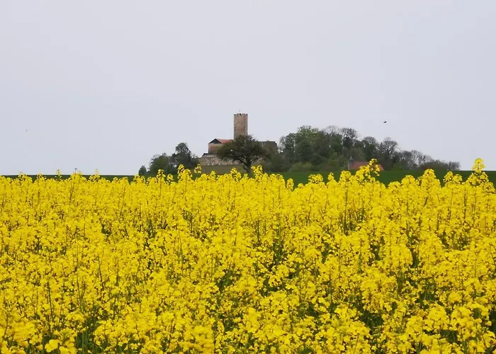 Im Herzen Des Kraichgaus 1