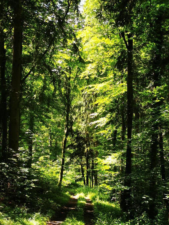 Im Herzen Des Kraichgaus 1 * Ostringen
